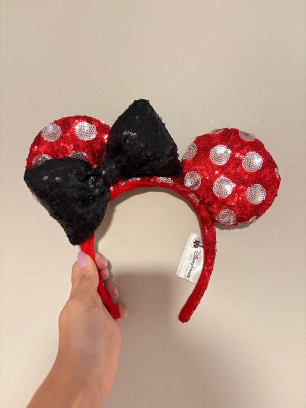 Walt Disney world ears
